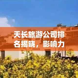 天长旅游公司排名揭晓，影响力深度解析