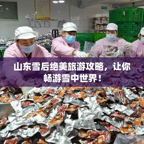 山东雪后绝美旅游攻略,让你畅游雪中世界!