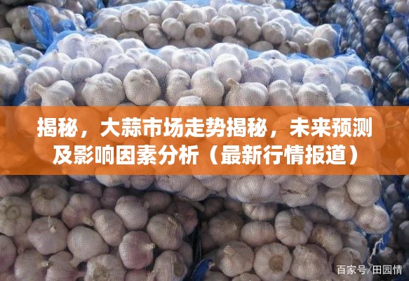 揭秘,大蒜市场走势揭秘,未来预测及影响因素分析(最新行情报道)