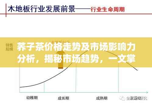 荞子茶价格走势及市场影响力分析,揭秘市场趋势,一文掌握行业风向标!