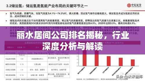 丽水居间公司排名揭秘,行业深度分析与解读
