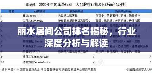 丽水居间公司排名揭秘,行业深度分析与解读