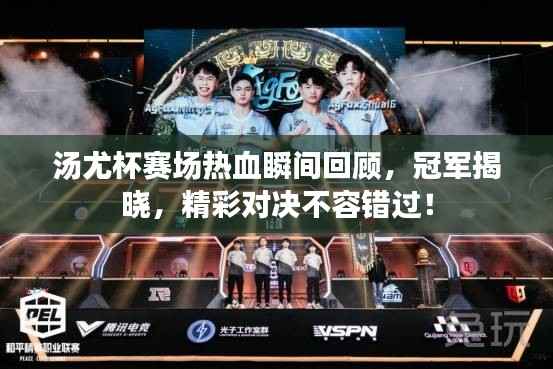 汤尤杯赛场热血瞬间回顾,冠军揭晓,精彩对决不容错过!
