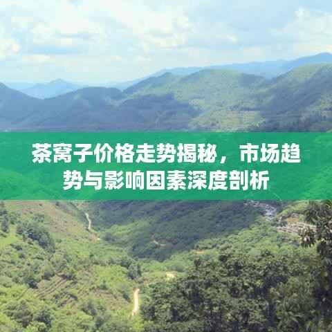 茶窝子价格走势揭秘,市场趋势与影响因素深度剖析