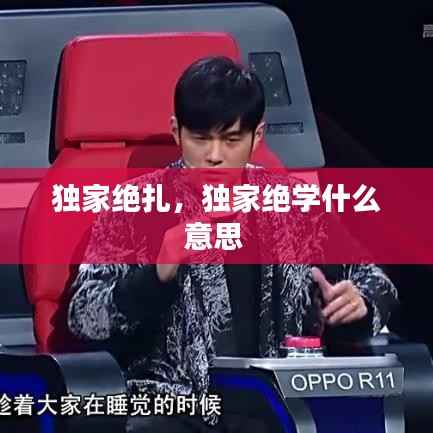 独家绝扎,独家绝学什么意思
