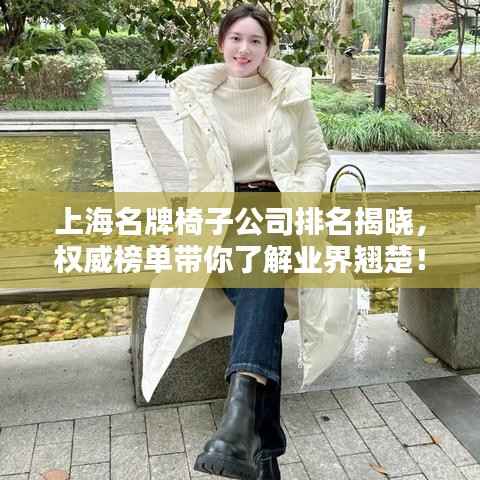 上海名牌椅子公司排名揭晓,权威榜单带你了解业界翘楚!