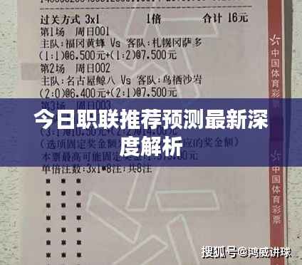 今日职联推荐预测最新深度解析
