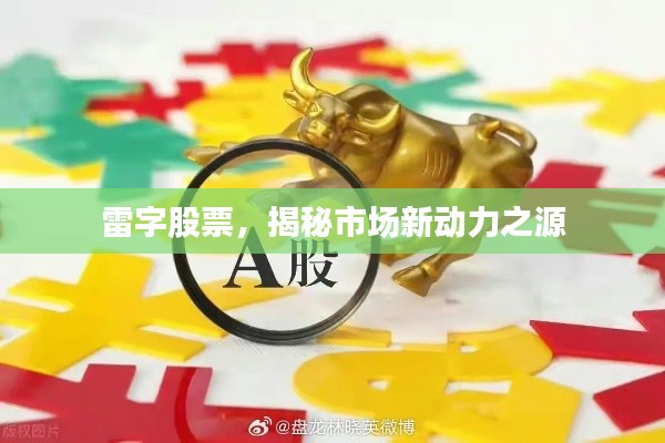 雷字股票,揭秘市场新动力之源