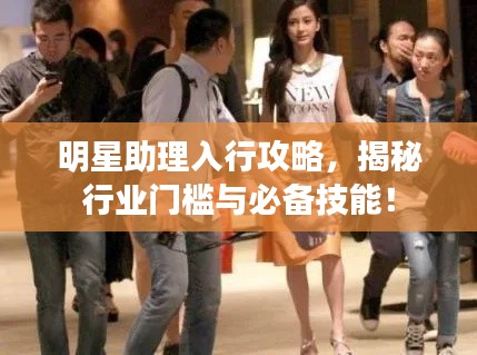 明星助理入行攻略,揭秘行业门槛与必备技能!