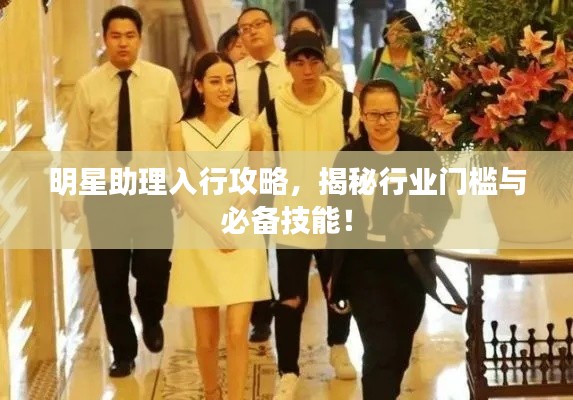 明星助理入行攻略,揭秘行业门槛与必备技能!