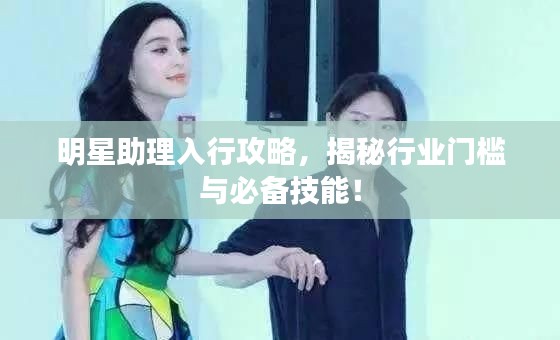 明星助理入行攻略,揭秘行业门槛与必备技能!