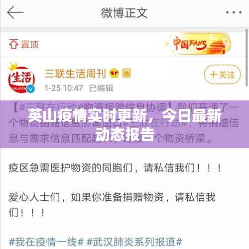 英山疫情实时更新,今日最新动态报告