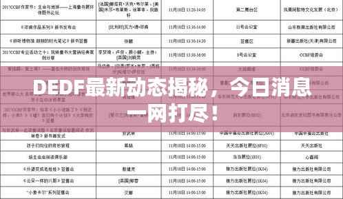 DEDF最新动态揭秘,今日消息一网打尽!