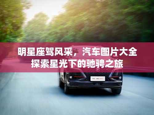 明星座驾风采,汽车图片大全探索星光下的驰骋之旅