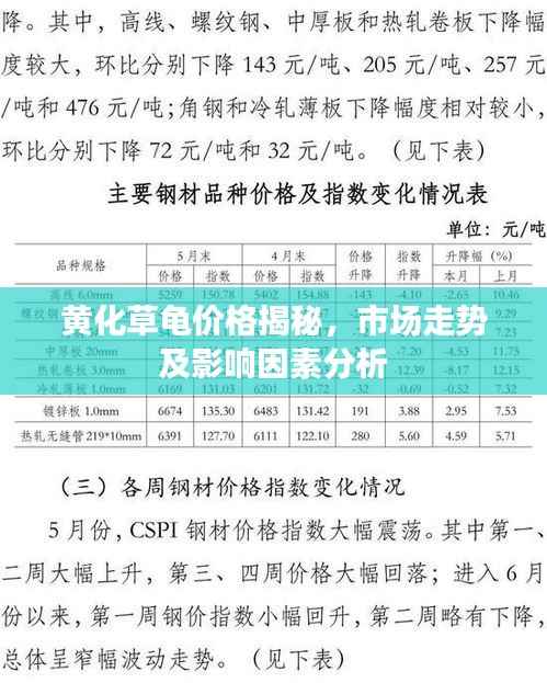 黄化草龟价格揭秘,市场走势及影响因素分析