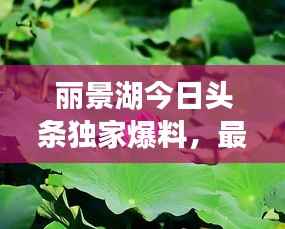 丽景湖今日头条独家爆料,最新动态一网打尽!