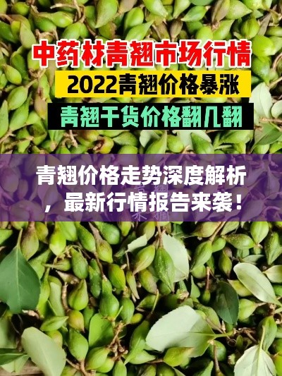 青翘价格走势深度解析,最新行情报告来袭!