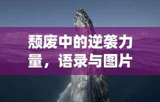 颓废中的逆袭力量,语录与图片的鼓舞之道