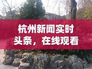 杭州新闻实时头条,在线观看,掌握城市最新动态