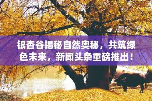 银杏谷揭秘自然奥秘,共筑绿色未来,新闻头条重磅推出!