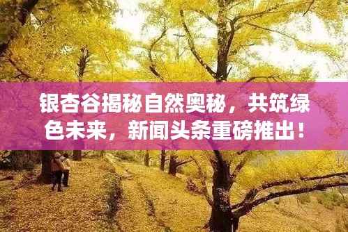 银杏谷揭秘自然奥秘,共筑绿色未来,新闻头条重磅推出!