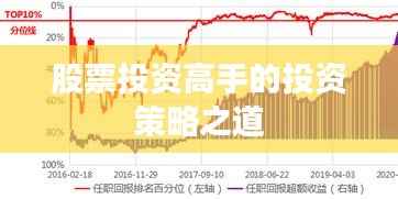 股票投资高手的投资策略之道