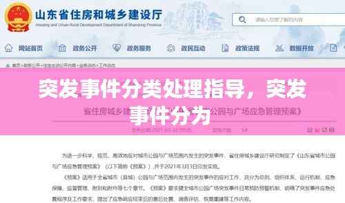 突发事件分类处理指导,突发事件分为