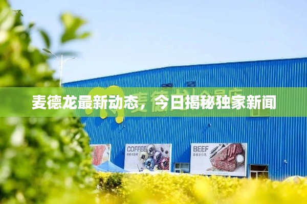 麦德龙最新动态,今日揭秘独家新闻