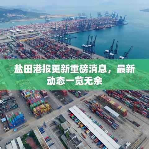 盐田港报更新重磅消息,最新动态一览无余