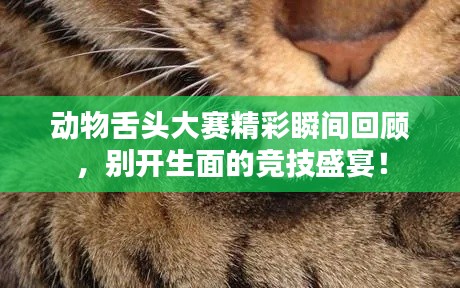 动物舌头大赛精彩瞬间回顾,别开生面的竞技盛宴!