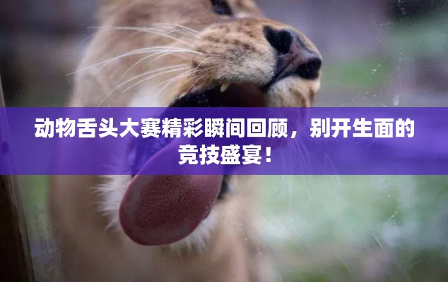 动物舌头大赛精彩瞬间回顾,别开生面的竞技盛宴!