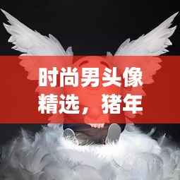 时尚男头像精选,猪年个性高清头像,风格独特魅力四溢