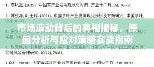市场波动背后的真相揭秘,原因分析与应对策略实战指南