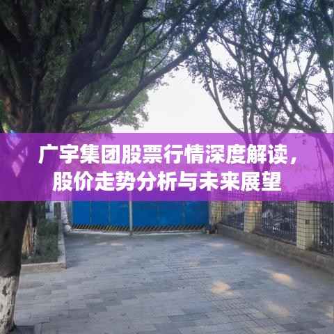 广宇集团股票行情深度解读,股价走势分析与未来展望