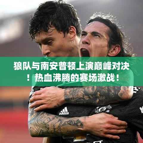 狼队与南安普顿上演巅峰对决!热血沸腾的赛场激战!