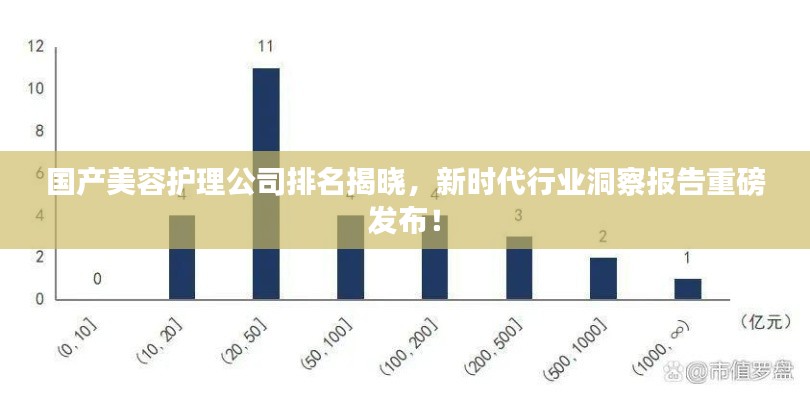 国产美容护理公司排名揭晓,新时代行业洞察报告重磅发布!