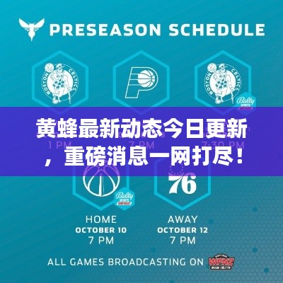 黄蜂最新动态今日更新,重磅消息一网打尽!