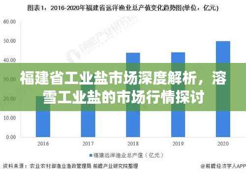 福建省工业盐市场深度解析,溶雪工业盐的市场行情探讨