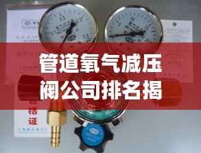 管道氧气减压阀公司排名揭晓,行业影响力榜单重磅出炉!