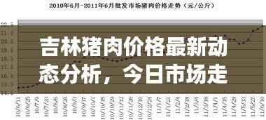 吉林猪肉价格最新动态分析,今日市场走势及影响因素探讨