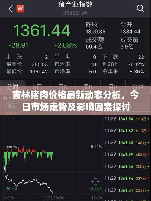 吉林猪肉价格最新动态分析,今日市场走势及影响因素探讨