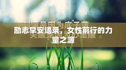 励志早安语录,女性前行的力量之源