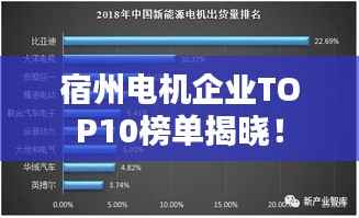 宿州电机企业TOP10榜单揭晓!