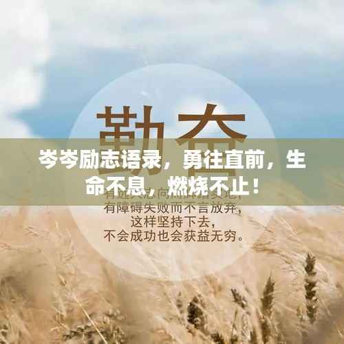 岑岑励志语录,勇往直前,生命不息,燃烧不止!