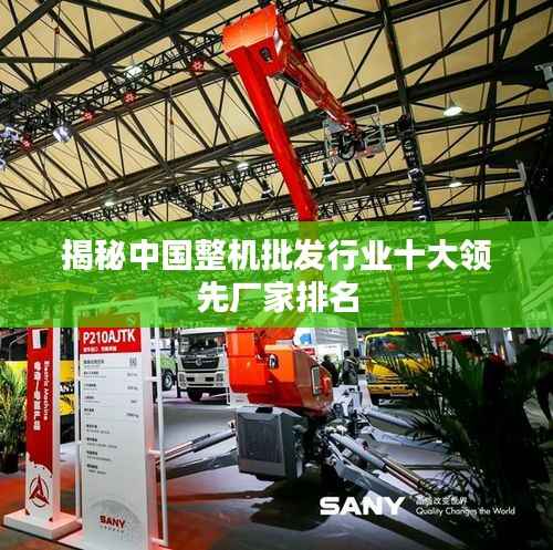 揭秘中国整机批发行业十大领先厂家排名