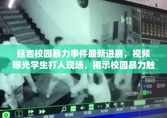 延吉校园暴力事件最新进展,视频曝光学生打人现场,揭示校园暴力触目惊心现状