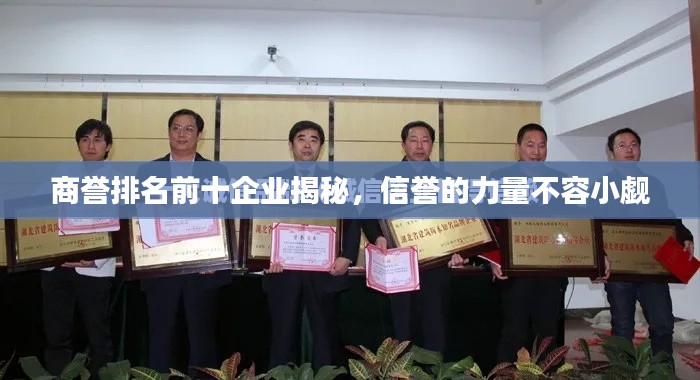 商誉排名前十企业揭秘,信誉的力量不容小觑