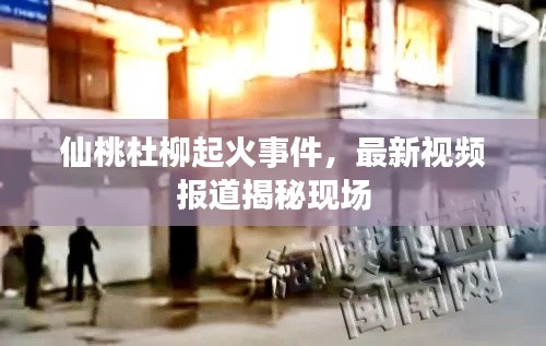 仙桃杜柳起火事件,最新视频报道揭秘现场