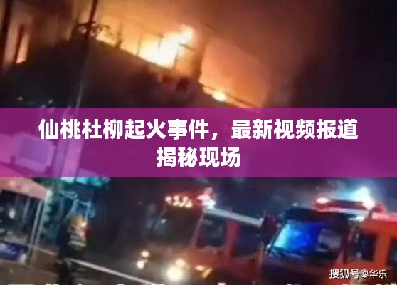 仙桃杜柳起火事件,最新视频报道揭秘现场