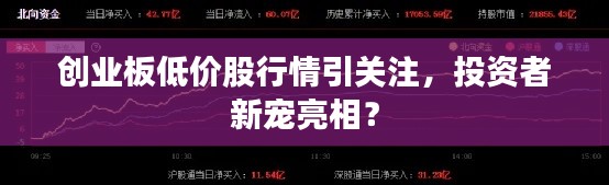 创业板低价股行情引关注,投资者新宠亮相?